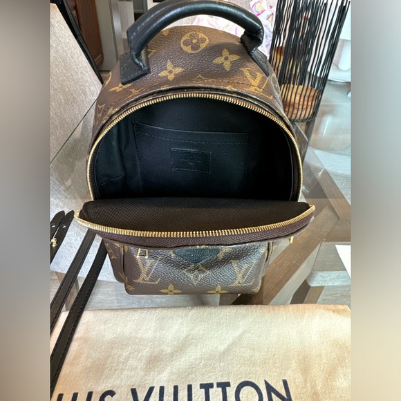 Louis Vuitton Palm Springs Mini - Picture 3 of 4